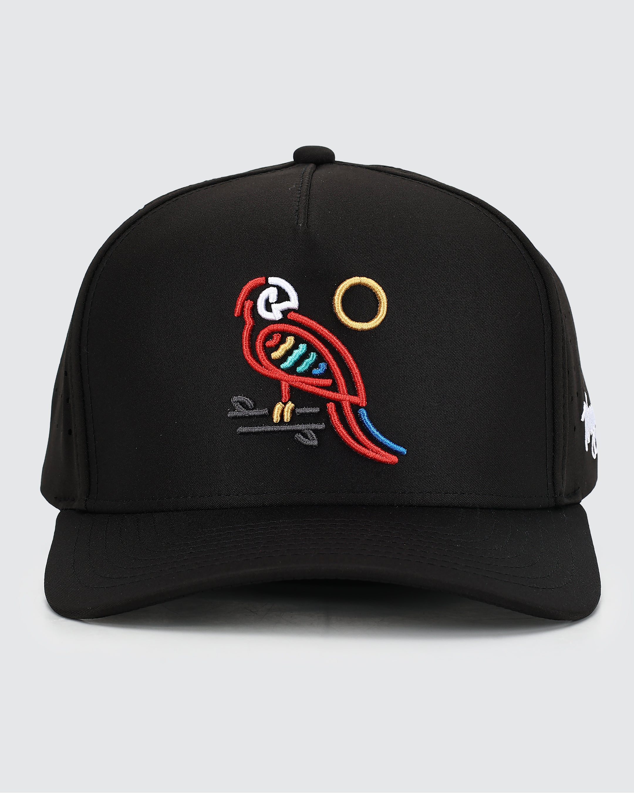 New Release